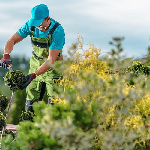 Foto Mantenimiento de jardines.