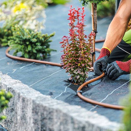 Foto Riego automático.