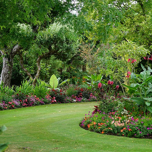 Foto Construcción y reforma de jardines.